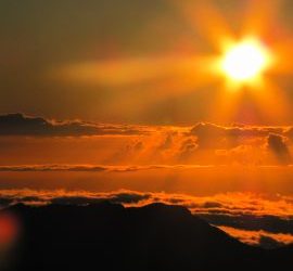 API Graduation Brunch and Fundraiser